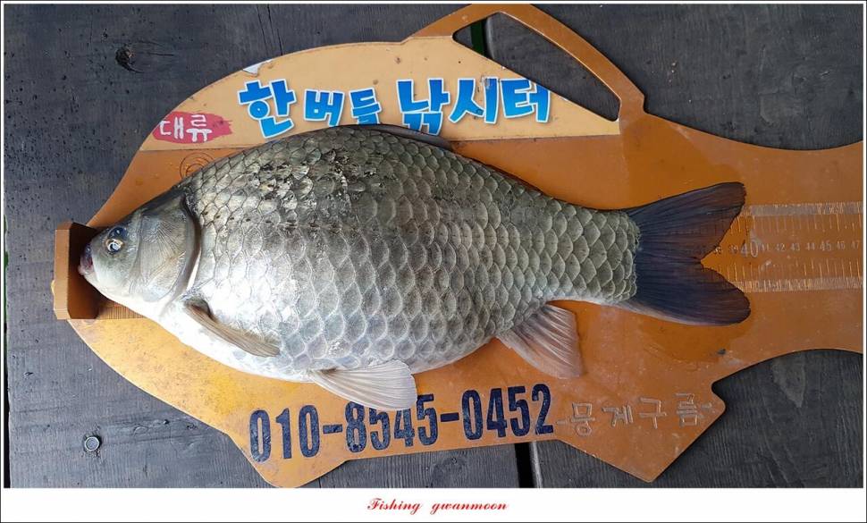 신리 4 짜 7 수실리곡 4 짜 4 수한버들 4 짜 3 수 (조황조행기 - 특파원조황)