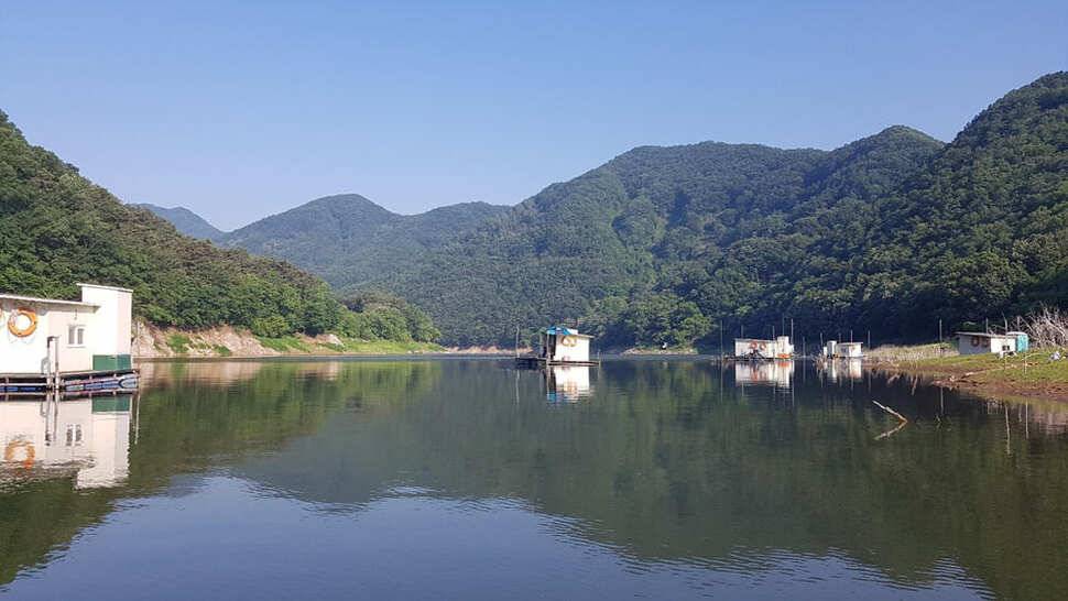 하천 4짜에 마릿수도 대박목벌도 4짜명서에도 꾸준한 조황 (조황조행기 - 특파원조황)
