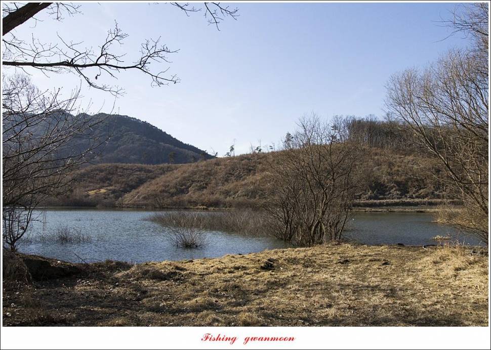 충주호 첫 월척칠성지매전지화곡지 오픈 (조황조행기 - 특파원조황)