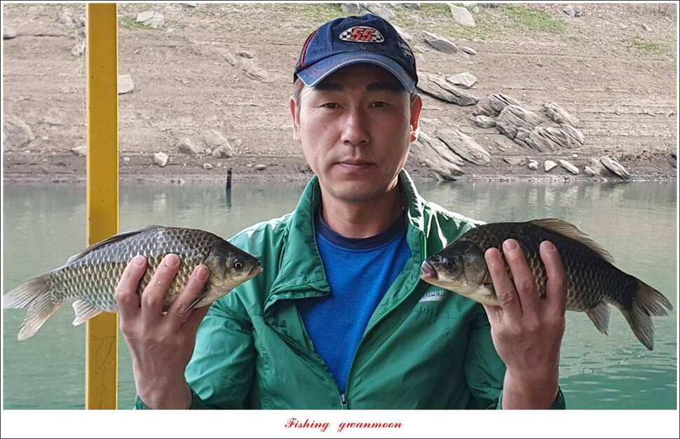돌감 39393736 cm늘푸른 허리급화곡지 월척 조황 (조황조행기 - 특파원조황)