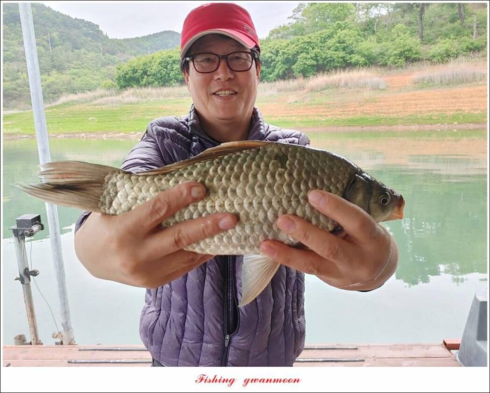 신리 44 cm실리곡 41 cm돌감 405 cm칠성지 대물 조황 (조황조행기 - 특파원조황)