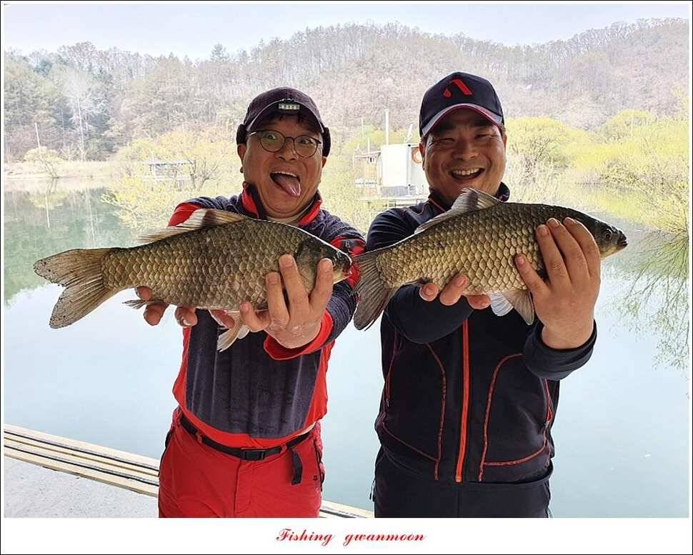 한버들 4 짜노지39 cm화곡지 사짜 조황 (조황조행기 - 특파원조황)