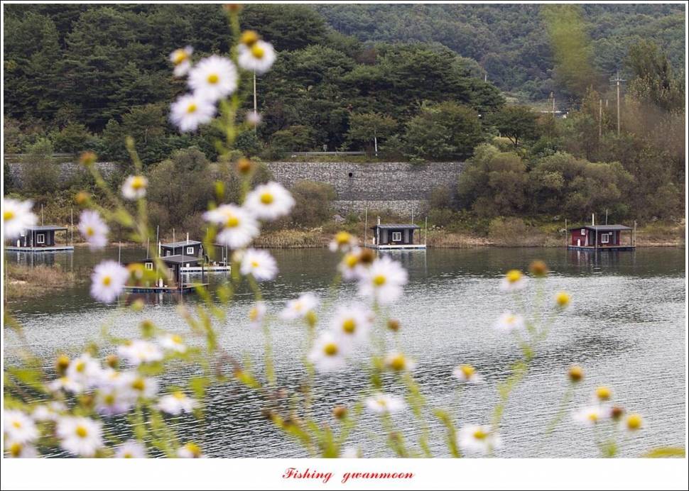 솔 4 짜 대물 및 월척 조황 (조황조행기 - 특파원조황)