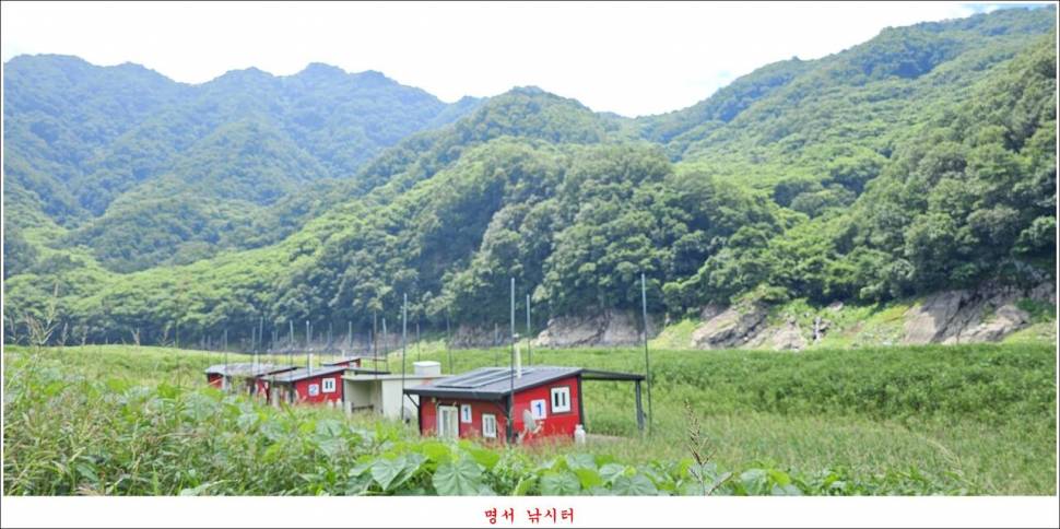 제일 낚시터 대박 조황명서 낚시터 호조황 (조황조행기 - 특파원조황)