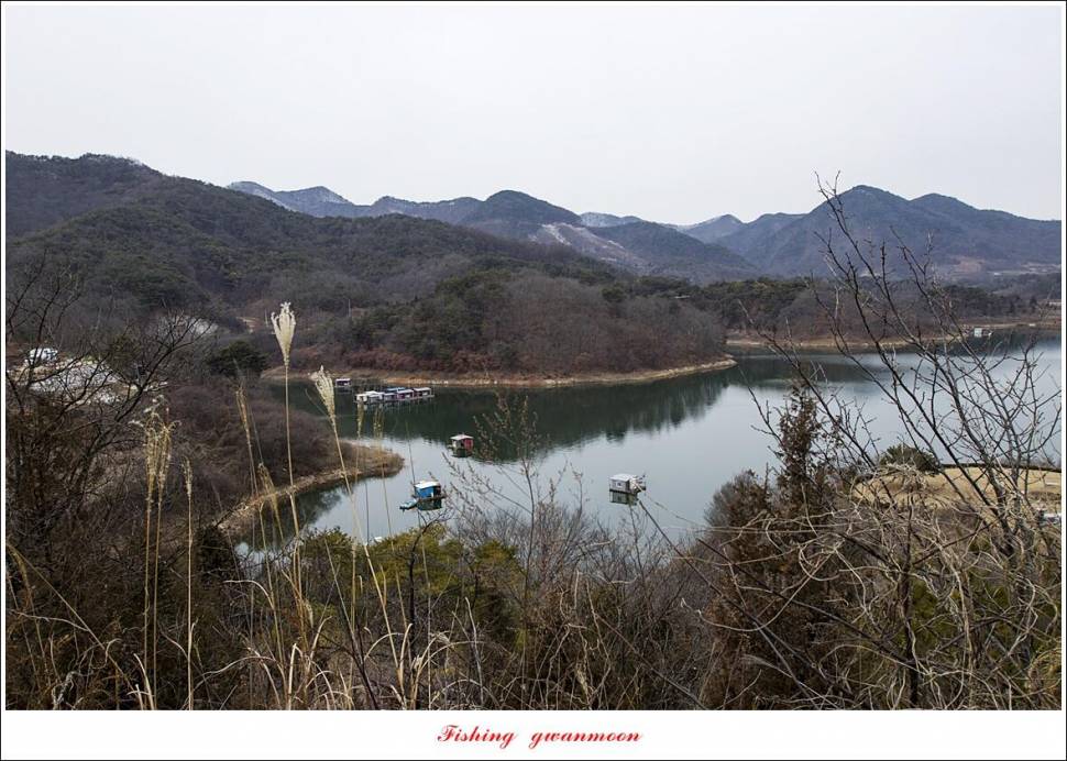 솔 385 cm 외 돌감 월척 조황 (조황조행기 - 특파원조황)