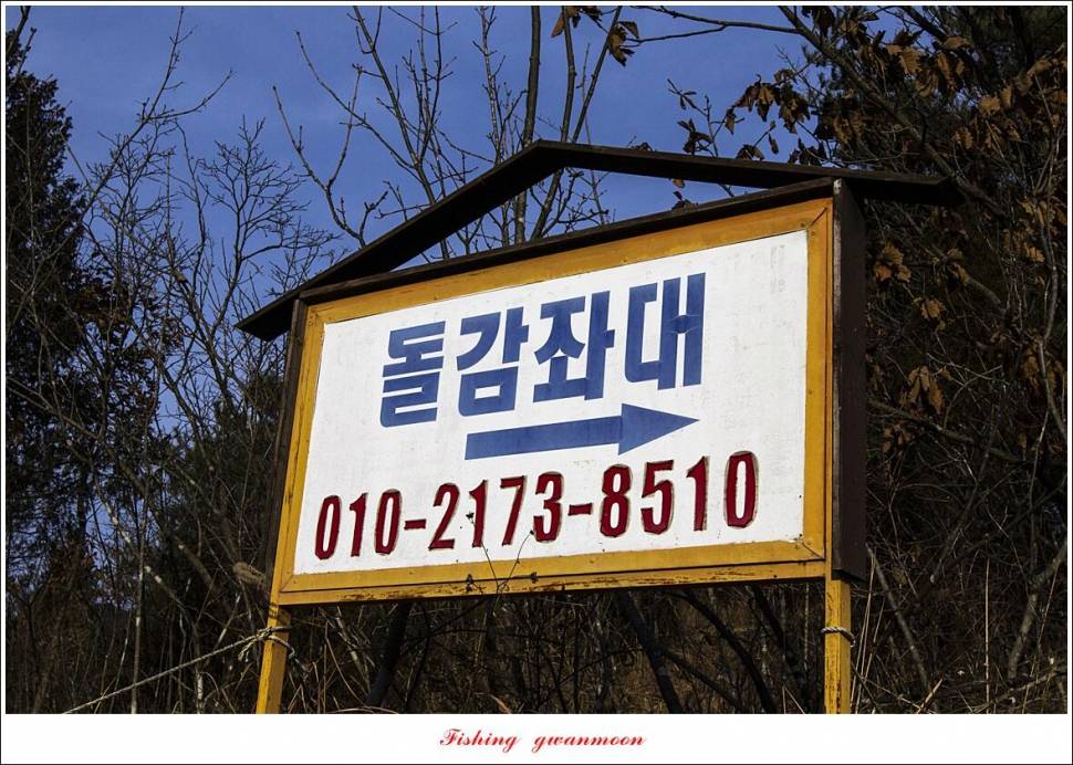 돌감 39 cm한버들 월척 조황 (조황조행기 - 특파원조황)