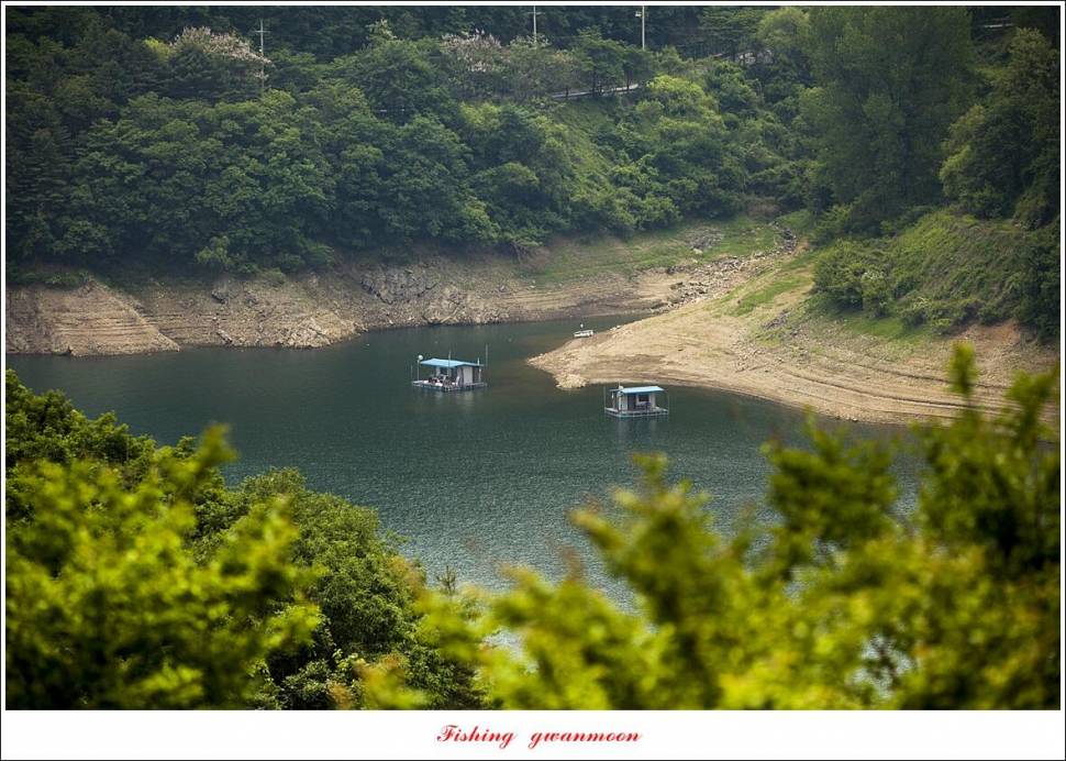 목벌 4 짜 마릿수 조황 (조황조행기 - 특파원조황)