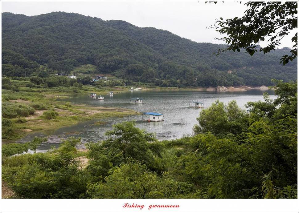 제일솔종점 4 짜 대물 및 화곡지 호조황 (조황조행기 - 특파원조황)