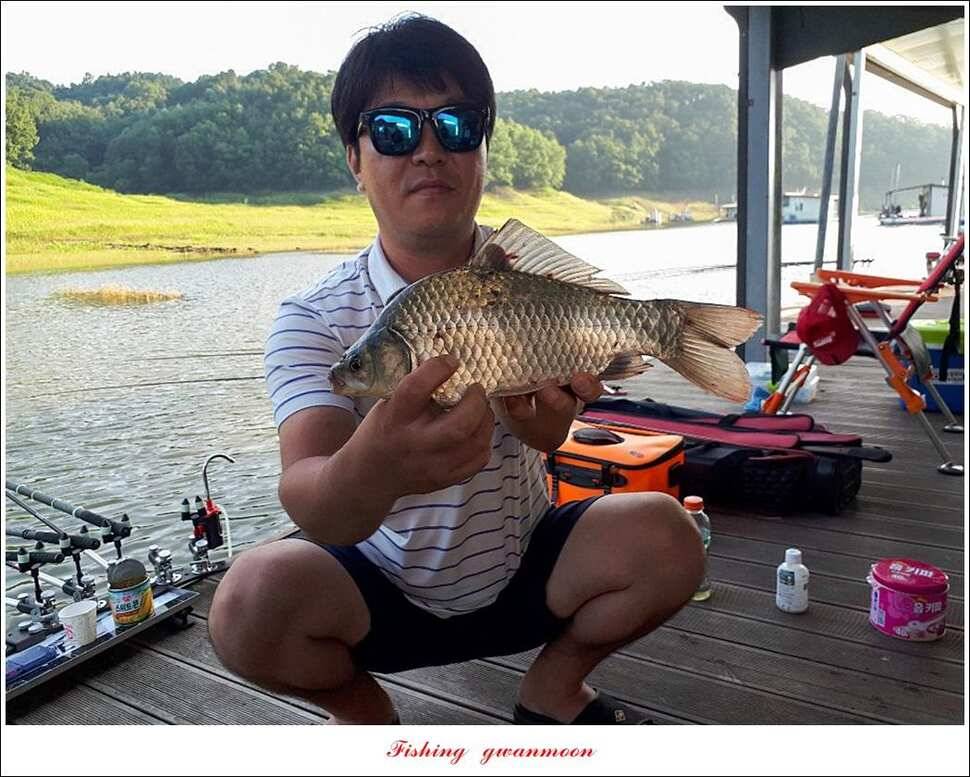 신매 44 cm 대물돌감 4 짜늘푸른제일 월척 조황 (조황조행기 - 특파원조황)