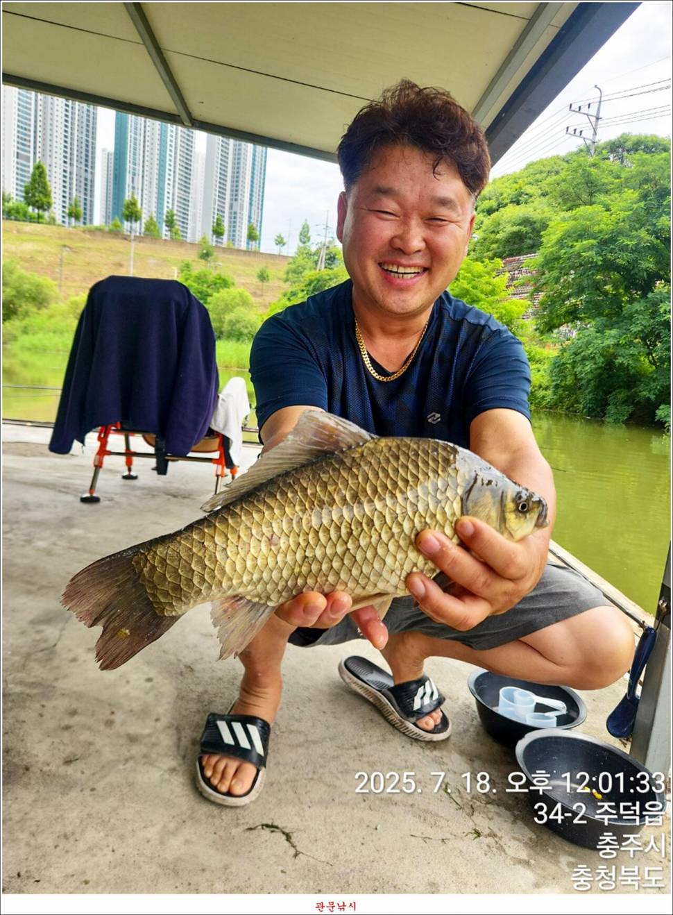 화곡지 49 cm477 cm455 cm 호조황 (조황조행기 - 특파원조황)