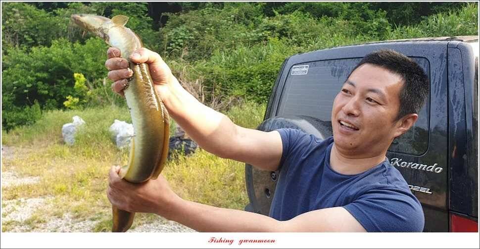 늘푸른 월척키로장어신매 월척돌감 월척 조황 (조황조행기 - 특파원조황)
