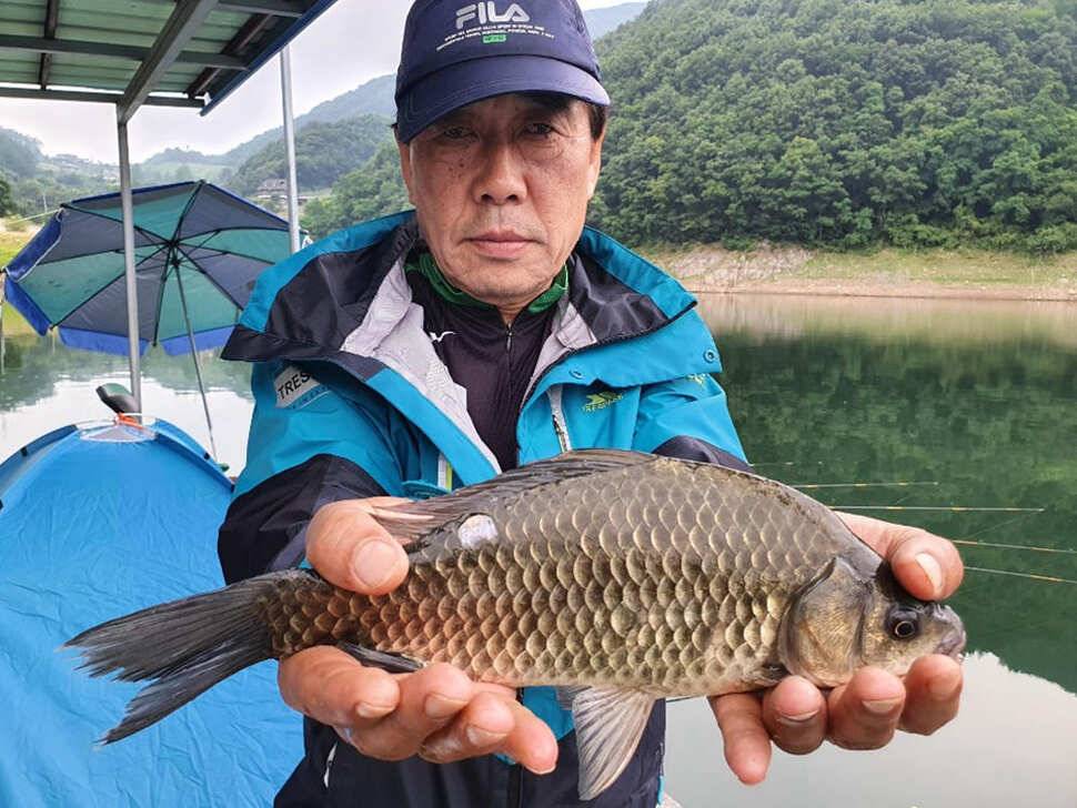 목벌 낚시터 4짜 대물붕어 꾸준한 조황 (조황조행기 - 특파원조황)