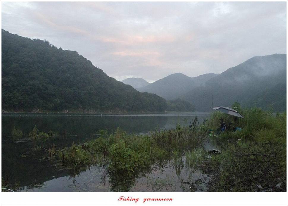 명서 4 짜화곡지 대물 및 마릿수 조황 (조황조행기 - 특파원조황)