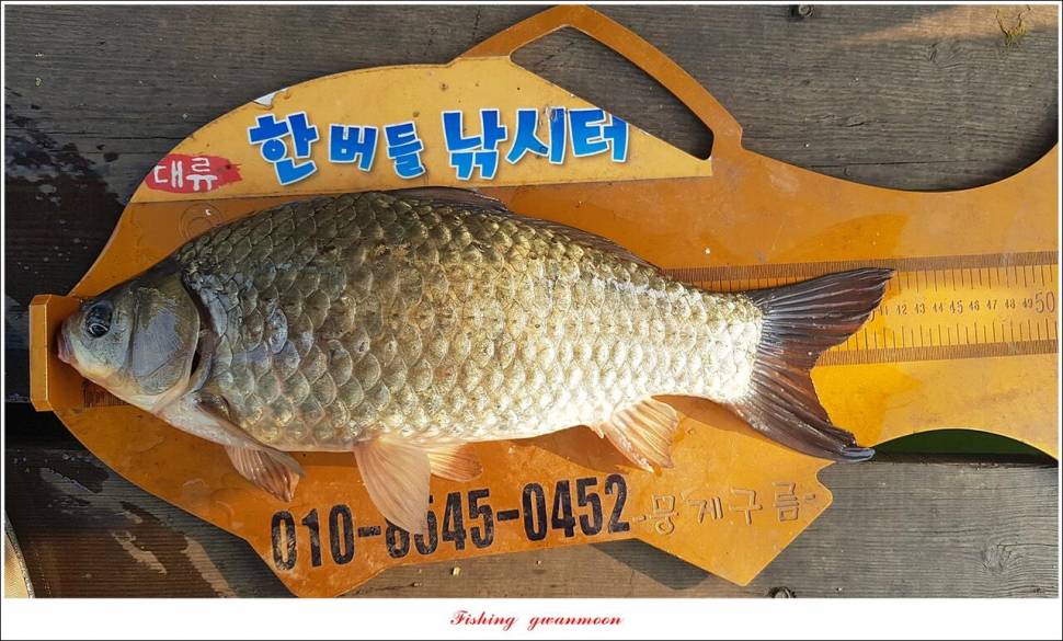 신리 4 짜 7 수실리곡 4 짜 4 수한버들 4 짜 3 수 (조황조행기 - 특파원조황)