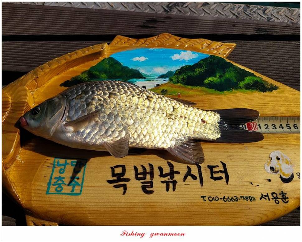 목벌 43 cm37 cm소류지 4 짜솔 낚시터 월척화곡지 대물 조황 (조황조행기 - 특파원조황)
