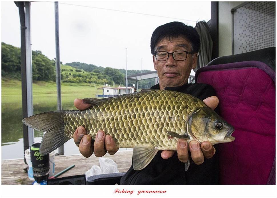 제일 4 짜 2 수돌감 4 짜목벌 4 짜 조황 (조황조행기 - 특파원조황)
