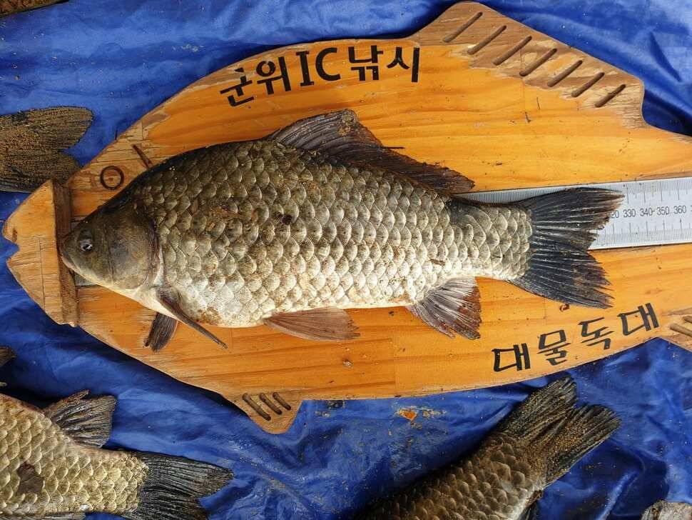 어마무시한 대박조황 (조황조행기 - 특파원조황)