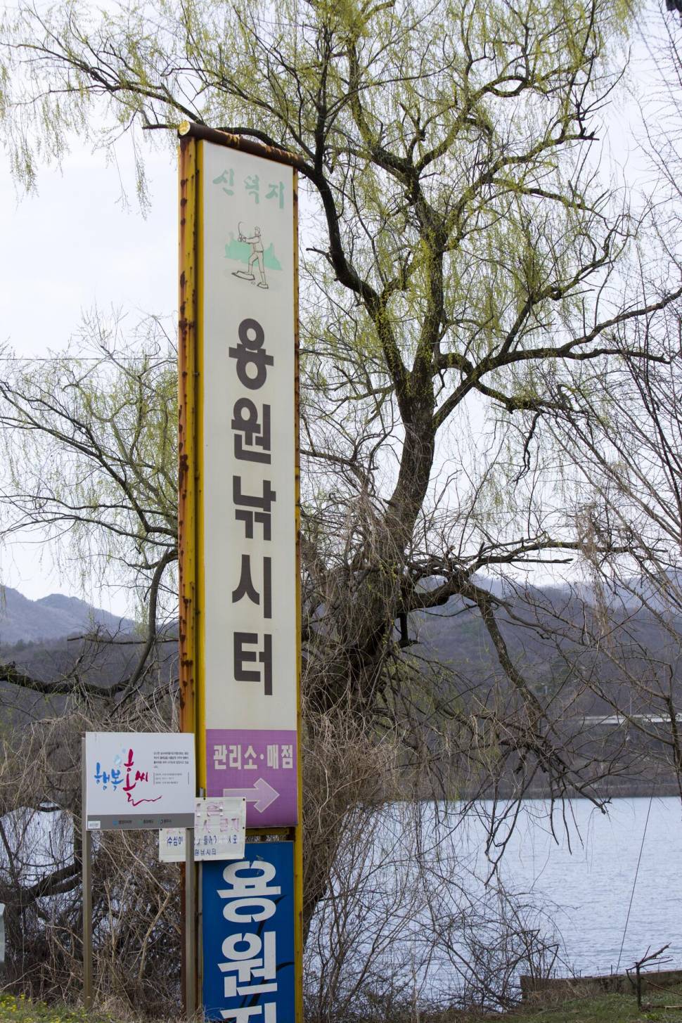 한버들 4 짜솔 38 cm화곡지 4 짜달천강 4 짜 (조황조행기 - 특파원조황)