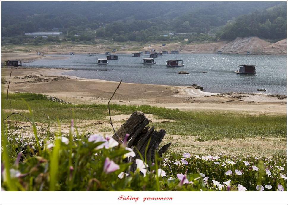솔 낚시터 4 짜화곡지 4 짜 및 월척 조황 (조황조행기 - 특파원조황)