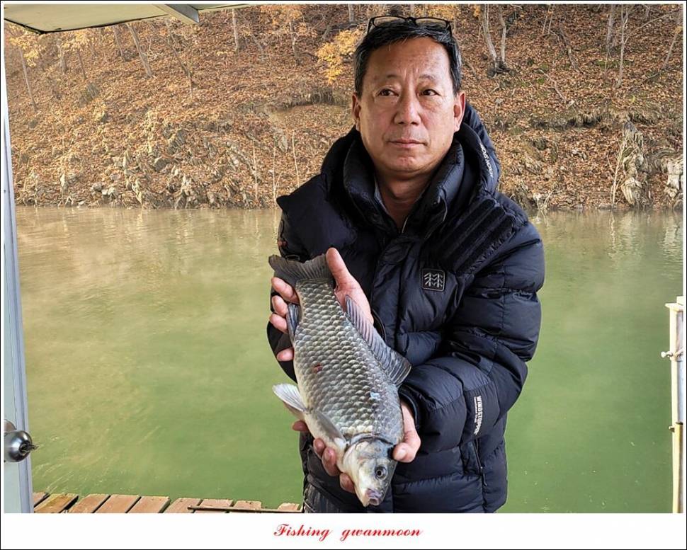 목벌 42 cm신리 41 cm408 cm실리곡 39 cm38 cm대물 조황 (조황조행기 - 특파원조황)