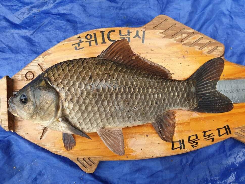 소류지 4짜오늘아침 실시간조황 (조황조행기 - 특파원조황)