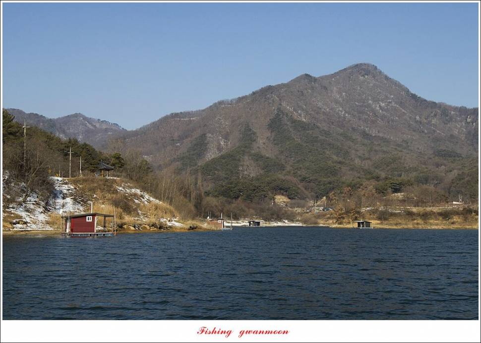 솔 4 짜신리 4 짜 대물 조황 (조황조행기 - 특파원조황)
