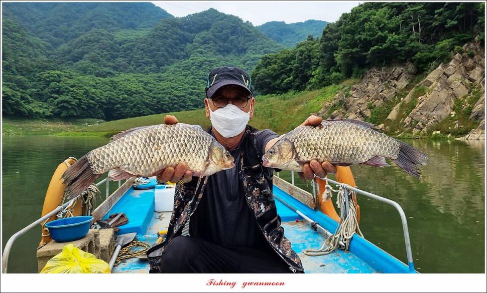 명서 노지 4 짜 마릿수돌감 4 짜사오리 4 짜솔 4 짜 대물 조황 (조황조행기 - 특파원조황)