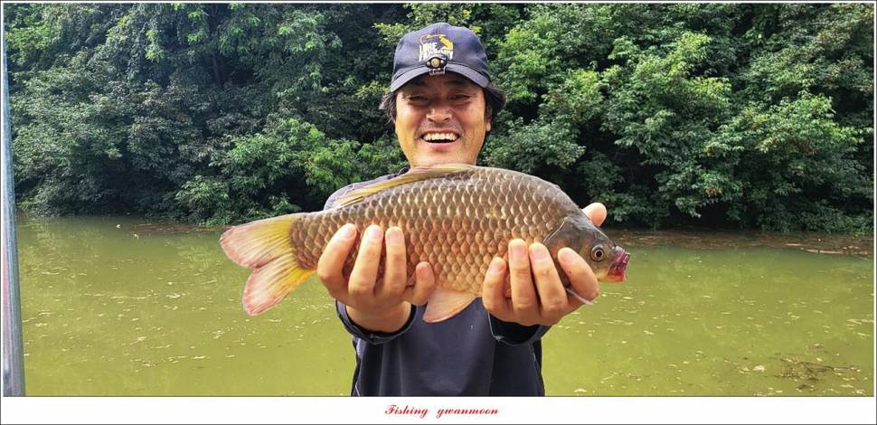 충주호 만수위 및 신리 4 짜 대물 조황 (조황조행기 - 특파원조황)