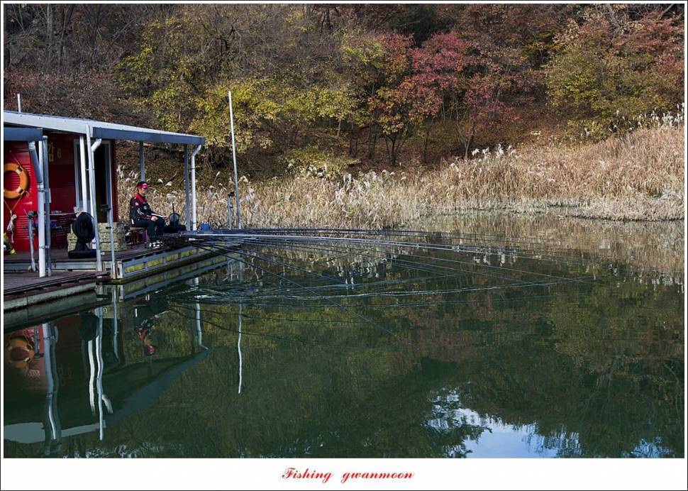 돌감 4 짜달천강대제지 4 짜 조황 (조황조행기 - 특파원조황)