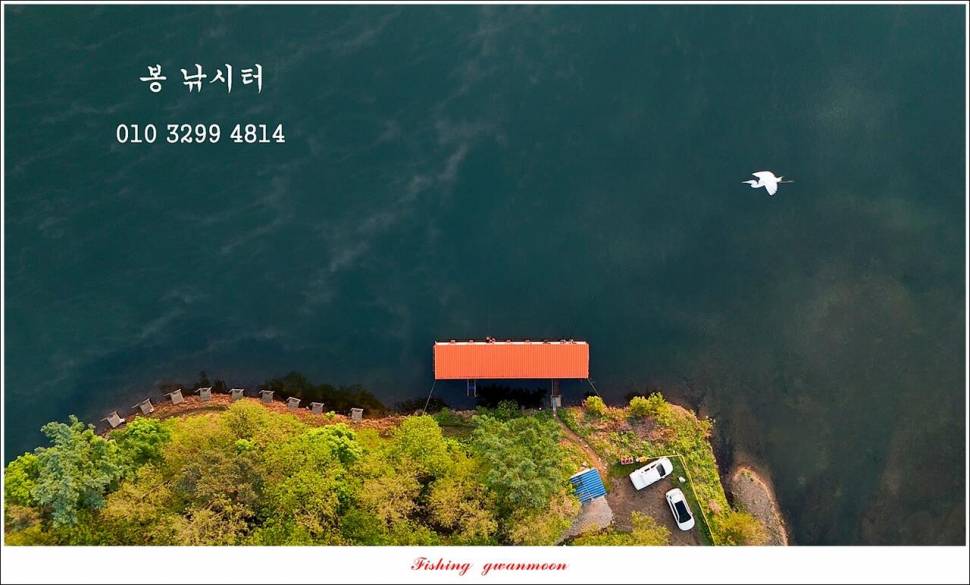 사오리 4 짜한버들 4 짜봉낚시터 조황 (조황조행기 - 특파원조황)