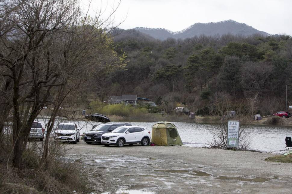 한버들 4 짜솔 38 cm화곡지 4 짜달천강 4 짜 (조황조행기 - 특파원조황)