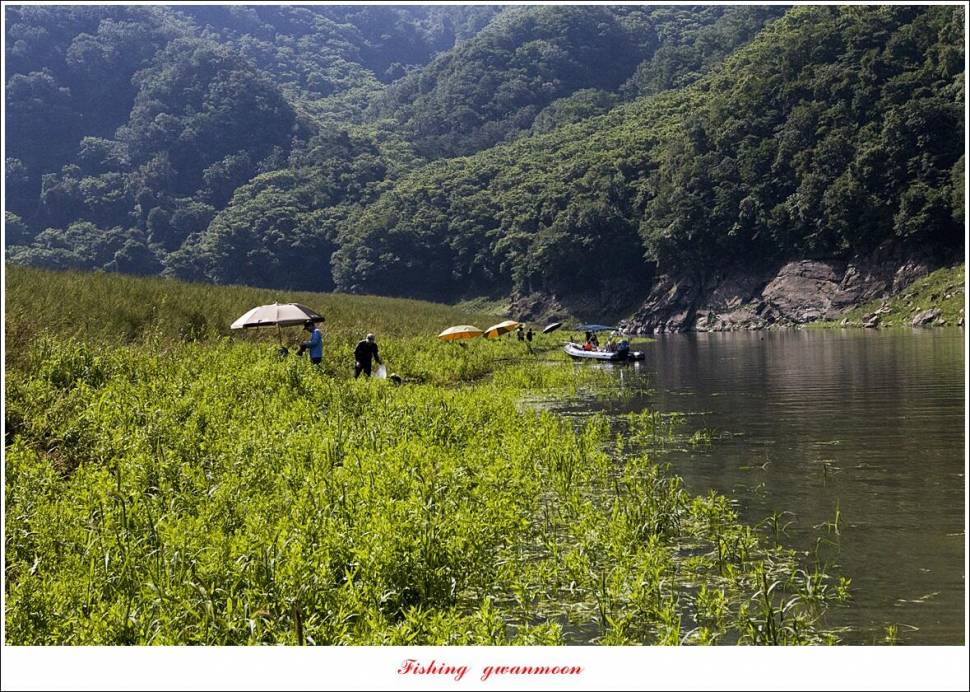 명서 노지사오리소이지 4 짜 및 월척 호조황 (조황조행기 - 특파원조황)