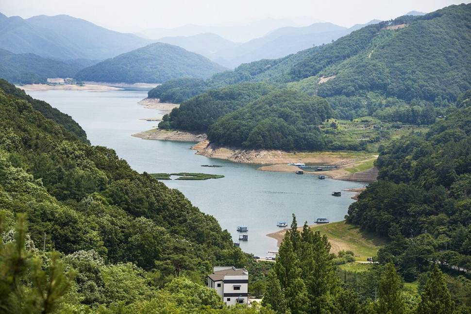 괴산음성 저수지 및 목벌 낚시터 조황 (조황조행기 - 특파원조황)