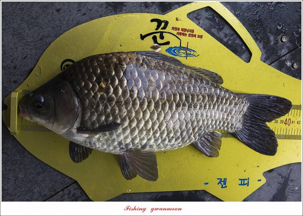 종점 낚시터 4 짜 조황 (조황조행기 - 특파원조황)