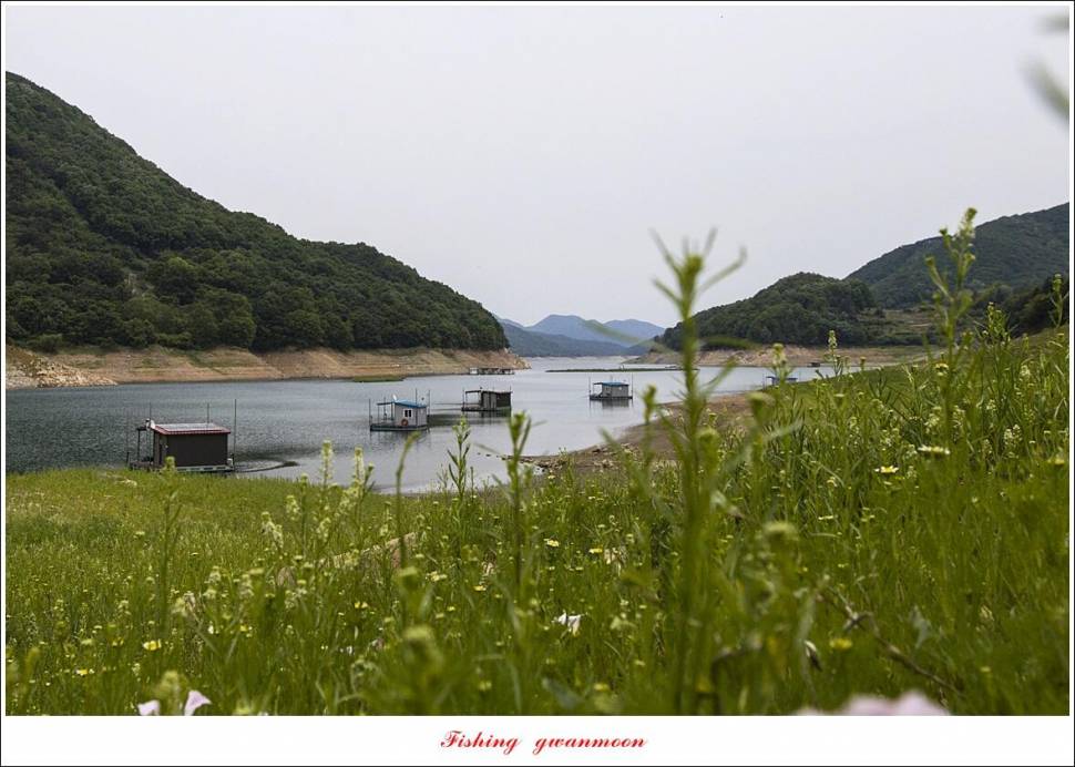 목벌 4 짜 조황 (조황조행기 - 특파원조황)