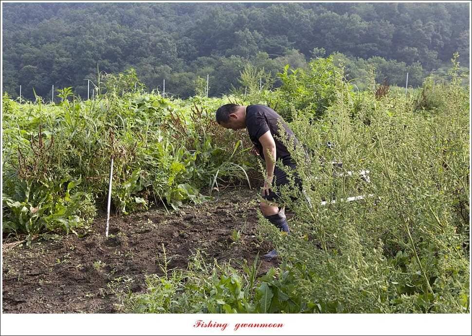 명서제일 낚시터 오름수위 현황 (조황조행기 - 특파원조황)