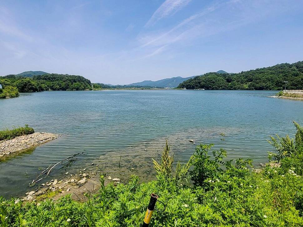 괴산음성 저수지 및 목벌 낚시터 조황 (조황조행기 - 특파원조황)