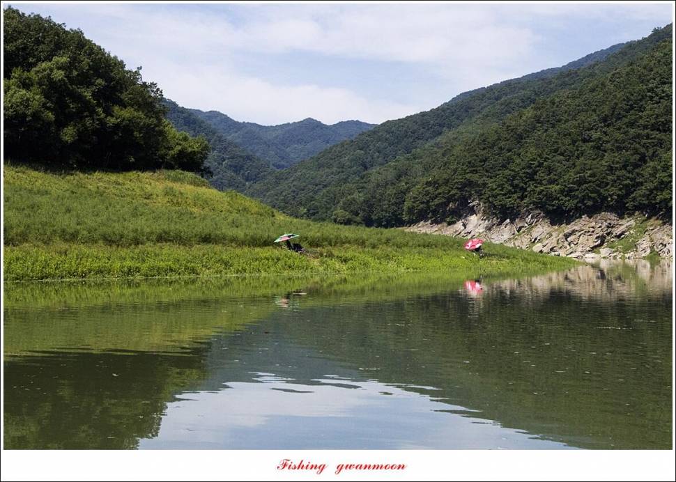 명서 노지사오리소이지 4 짜 및 월척 호조황 (조황조행기 - 특파원조황)