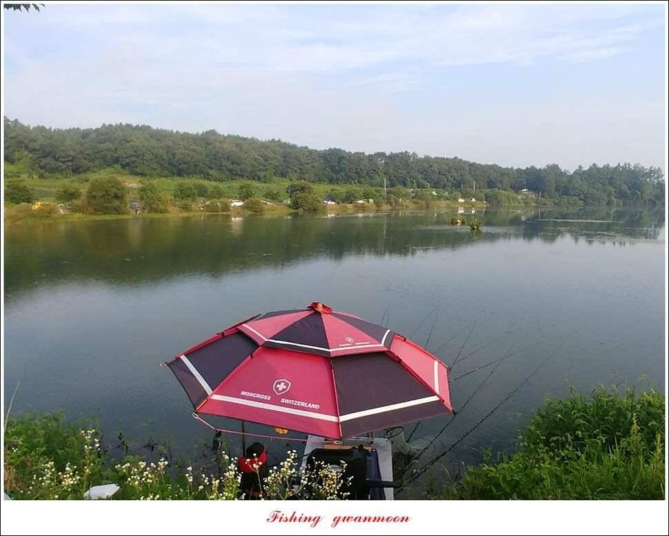 제일 4 짜 및 마릿수 대물칠성지 4 짜 및 마릿수 조황 (조황조행기 - 특파원조황)