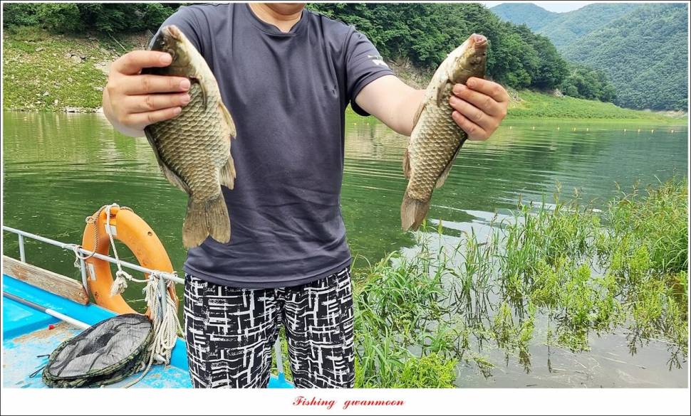 명서 노지 4 짜 마릿수돌감 4 짜사오리 4 짜솔 4 짜 대물 조황 (조황조행기 - 특파원조황)
