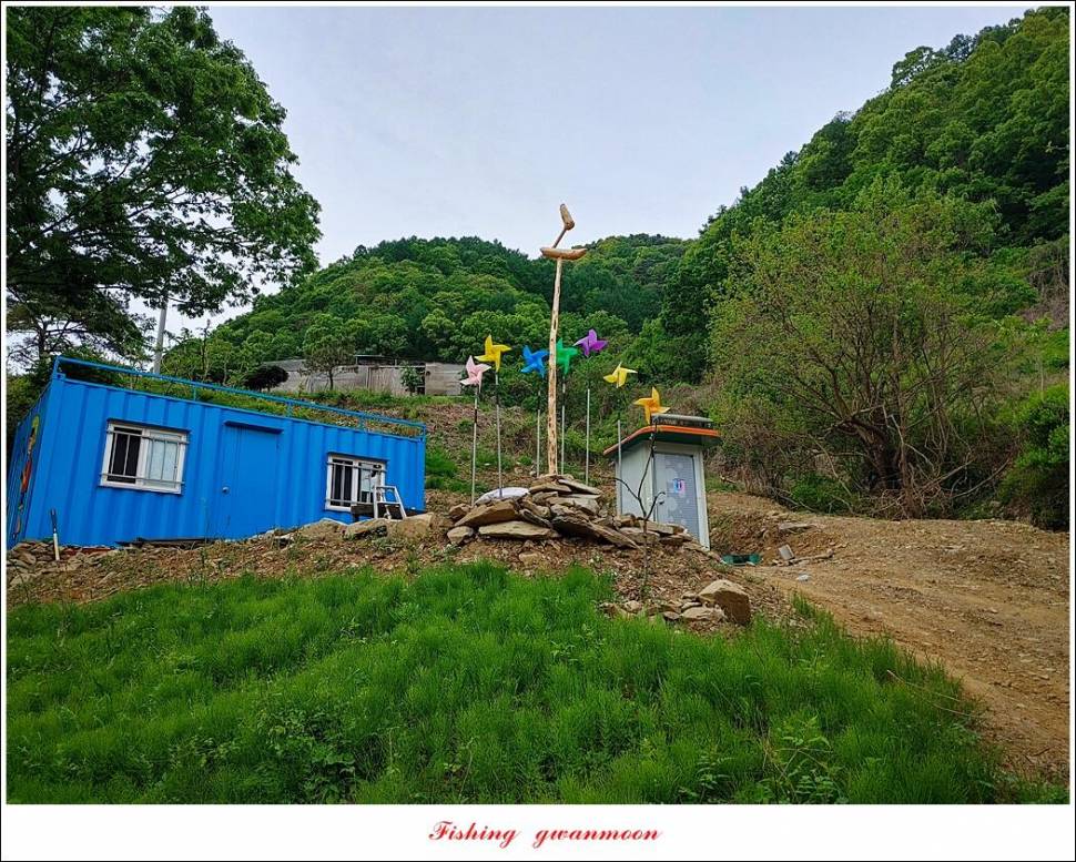 돌감 4 짜화곡지 4 짜 마릿수 조황 (조황조행기 - 특파원조황)
