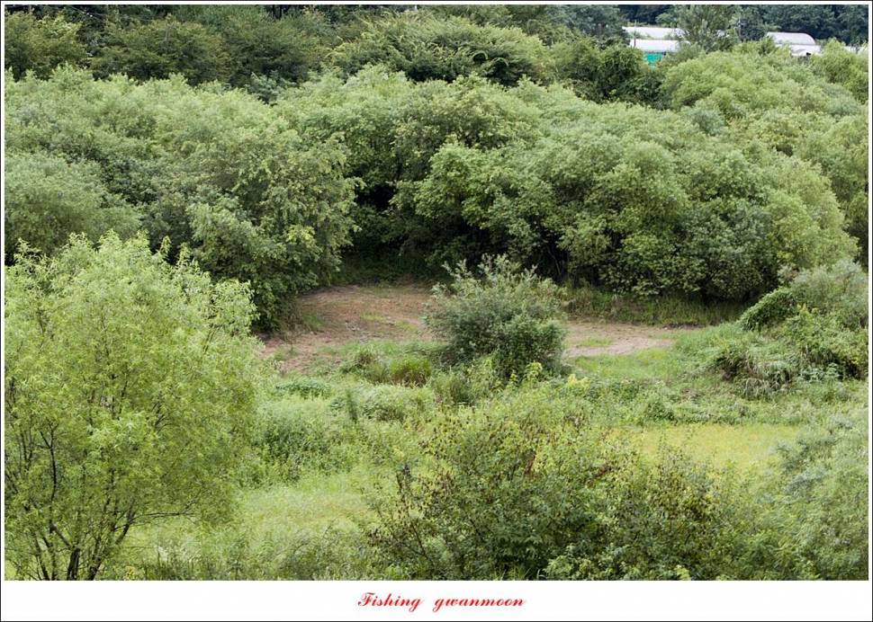 충주호 오름수위화곡지 조황 (조황조행기 - 특파원조황)