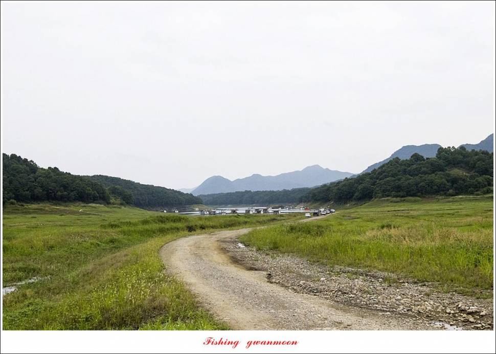 제일 4 짜 2 수돌감 4 짜목벌 4 짜 조황 (조황조행기 - 특파원조황)