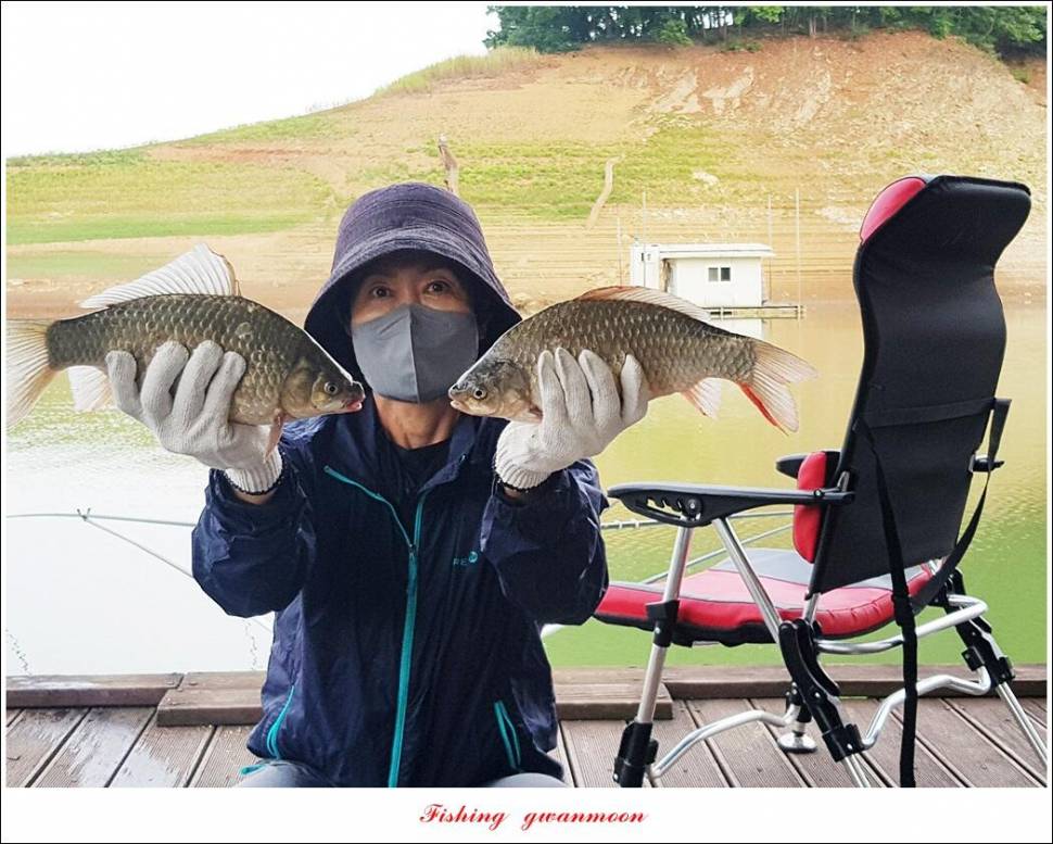 한버들 4 짜목벌 4 짜화곡지 4 짜달천강 4 짜 (조황조행기 - 특파원조황)
