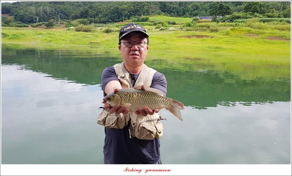 한버들 47 cm405 cm제일 40 cm39 cm38 cm (조황조행기 - 특파원조황)