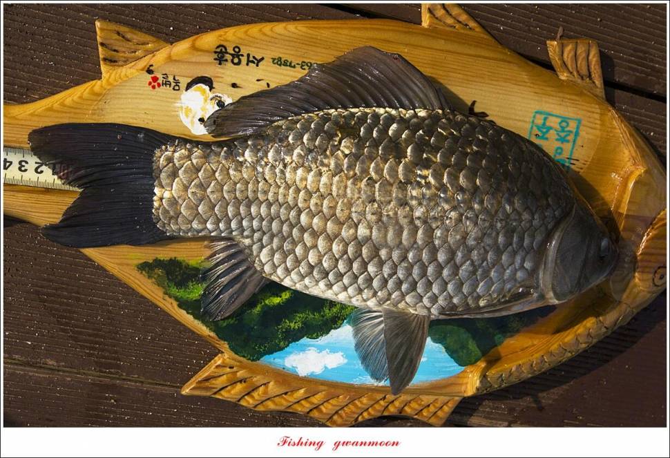 목벌 43 cm37 cm소류지 4 짜솔 낚시터 월척화곡지 대물 조황 (조황조행기 - 특파원조황)