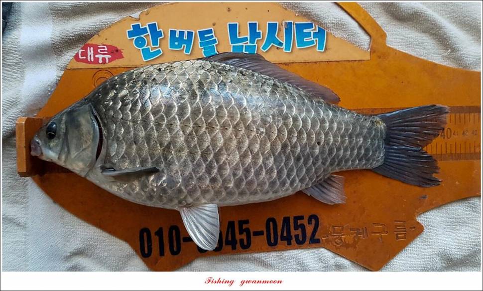 제 1 회 한버들 왕중왕전 4 짜 조황 (조황조행기 - 특파원조황)