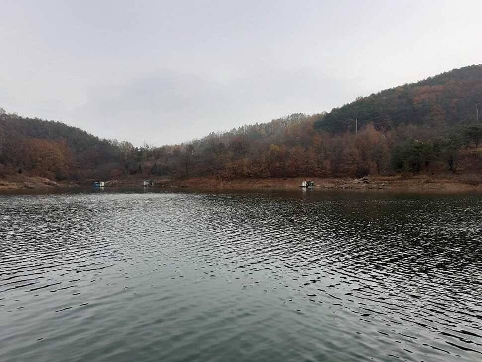 돌감제일 월척 조황 (조황조행기 - 특파원조황)