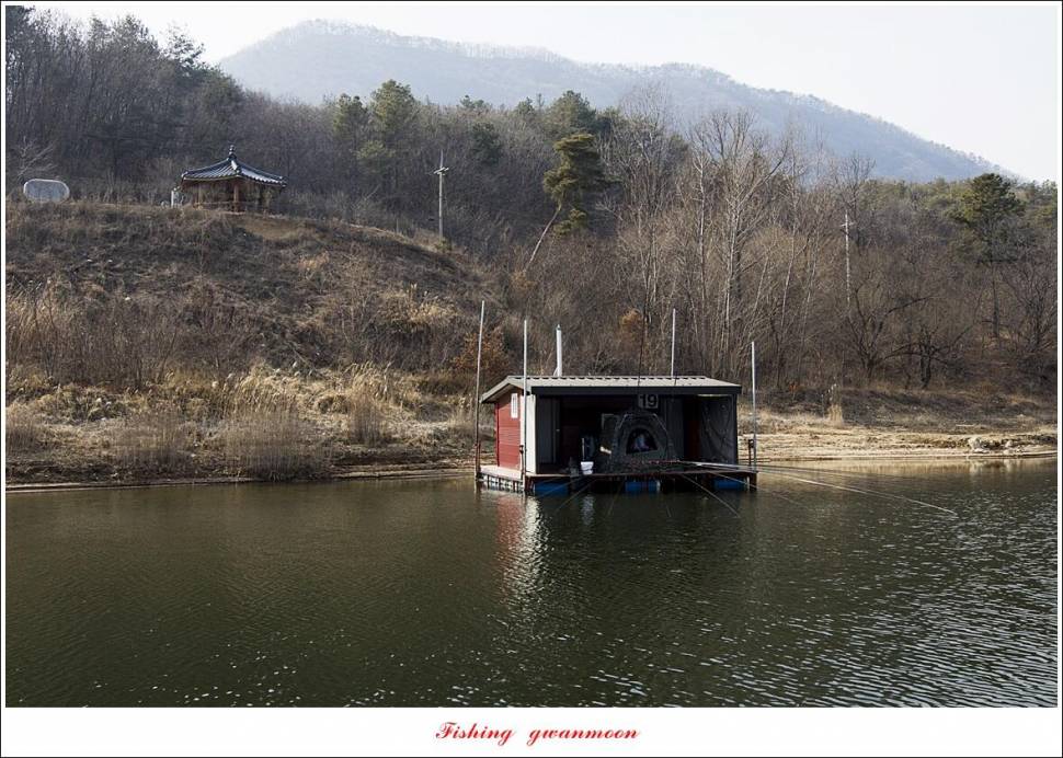 돌감 4 짜솔 낚시터 조황 (조황조행기 - 특파원조황)