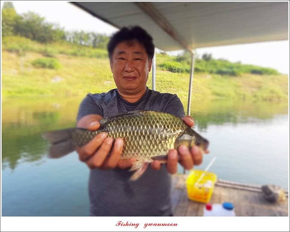 제일돌감 월척 조황 (조황조행기 - 특파원조황)